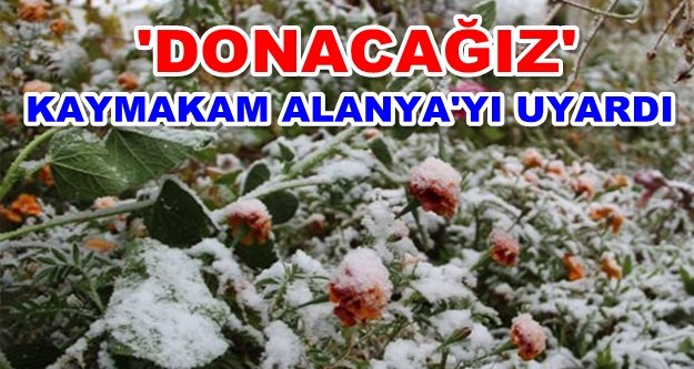 Meteorolojiden 'Zirai Don' uyarısı