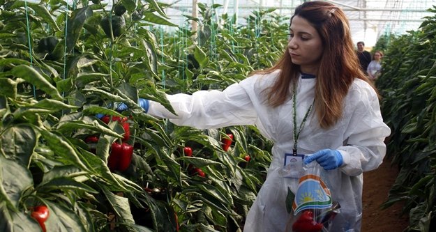 Sebzede kalıntı iddialarına denetimli cevap