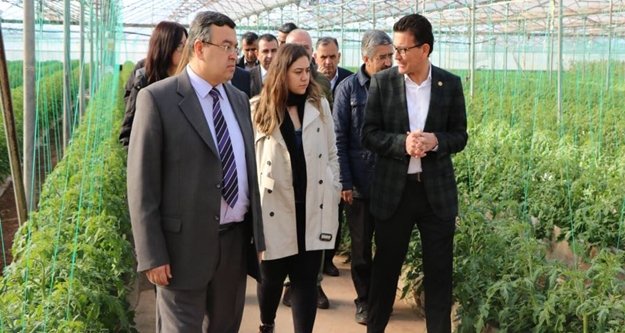 Yerli tohum ve akıllı arılarla üretim