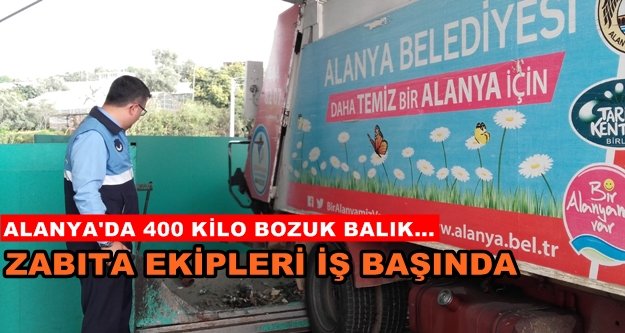 400 kilo bozuk balık imha edildi