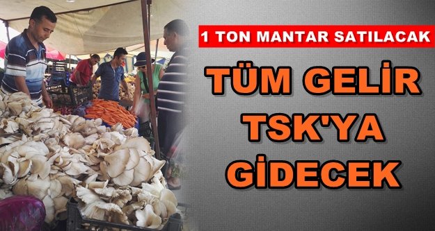 Afrin'e destek için mantar satılacak