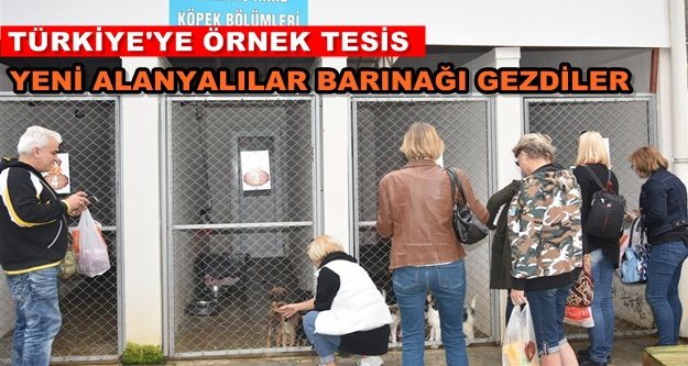 Alanya Belediyesi Hayvan Barınağına tam not