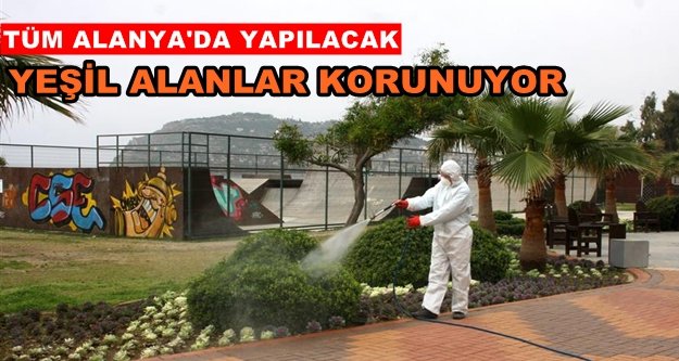 Alanya Belediyesi ilaçlama yapıyor
