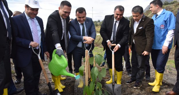 Alanya Cezaevi Avokado üretecek