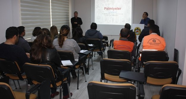 Alanya'da palmiye böceklerine savaş açıldı