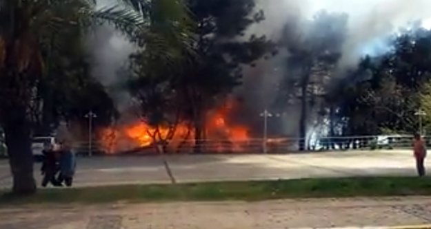 Antalya Atatürk Parkı'nda korkutan yangın