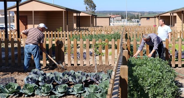 Büyükşehirin Hobi Bahçesinde emekliler ilk hasadı yaptı