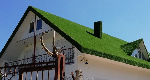 Evine yaban keçisi boynuzu astı, 14 bin lira ceza yedi