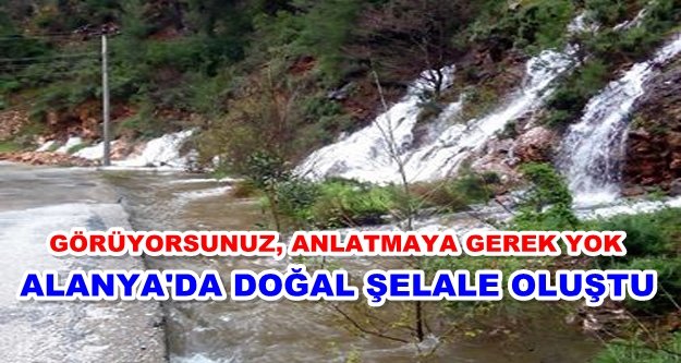 Görenleri şaşkına çevirdi! 1 gün önce yoktu