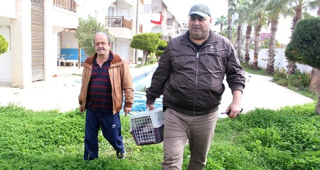 Sahibi sınır dışı edilen kedi itfaiye tarafından kurtarıldı