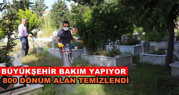 Alanya’da mezarlıklara bahar bakımı