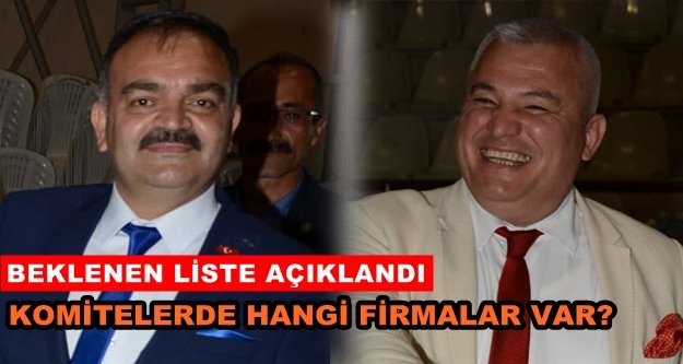 İşte ALTSO'ya meclis üyesi gönderen 68 şirket