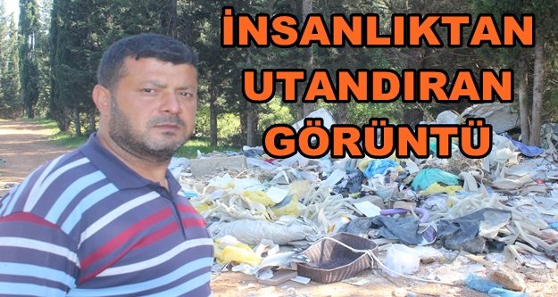 Andız ve çam ağaçlarıyla kaplı ormanlık alanı çöplüğe çevirdiler