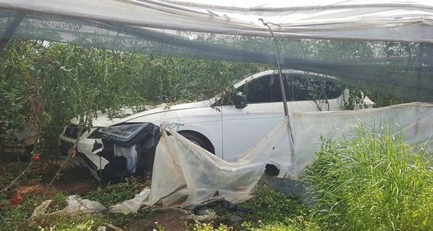 Lüks otomobil domates serasına daldı
