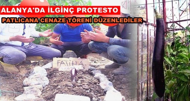 Patlıcan intihar etti! Cenazesi kılındı