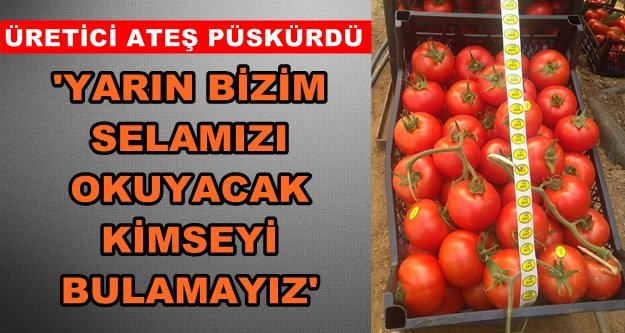 Alanyalı üreticiler isyan ettiler