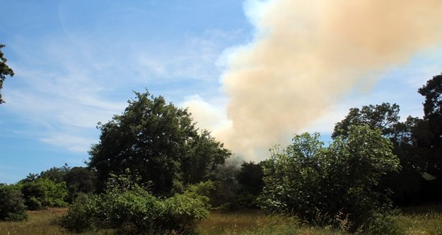 Antalya’da korkutan orman yangını
