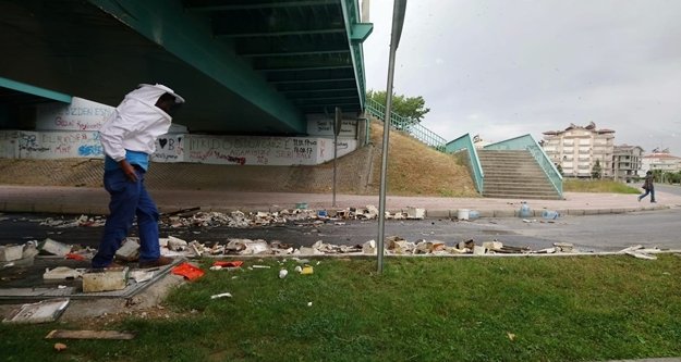 Arı kovanı yüklü tır köprüye çarptı, arılar karayolunu istila etti