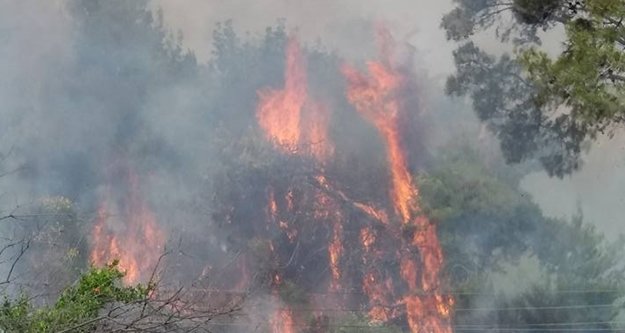 Dünyaca ünlü şelalenin yanında yangın