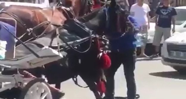 Faytona koşulan at aşırı sıcaktan yere yığıldı