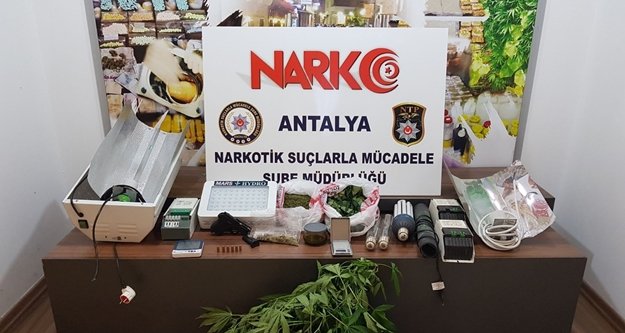 Uyuşturucu operasyonunda Belçika uyruklu 8 kişi gözaltına alındı