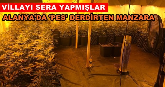 Lüks villaya giren jandarma gözlerine inanamadı