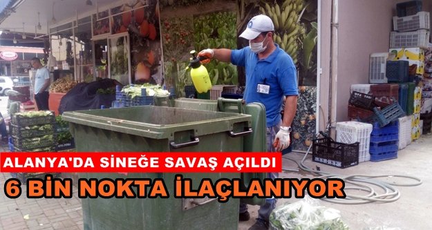 Sinekle mücadelede yaz mesaisi