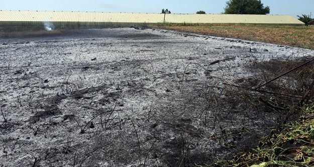 Boş arazide yangın çıktı!