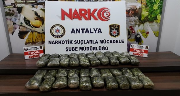 Durdurulan tırda 1 milyon liralık uyuşturucu çıktı