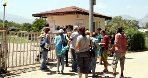 Hayvanseverlerin tepkisini çeken görüntü