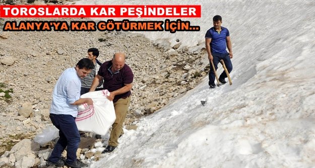 Kar için onlarca kilometre gidiyorlar