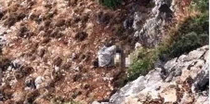 Konyalı tatilcinin ölümü pes dedirtti