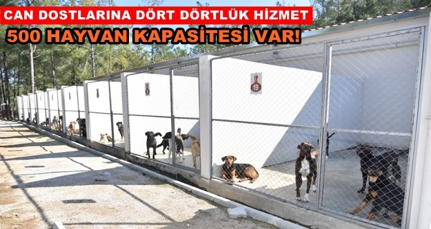 Türkiye'nin örnek tesisi hizmete devam ediyor