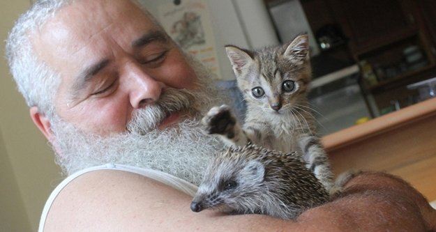 Yaralı kirpiye gazeteci yardımı