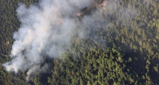 Alanya'da korkutan orman yangını