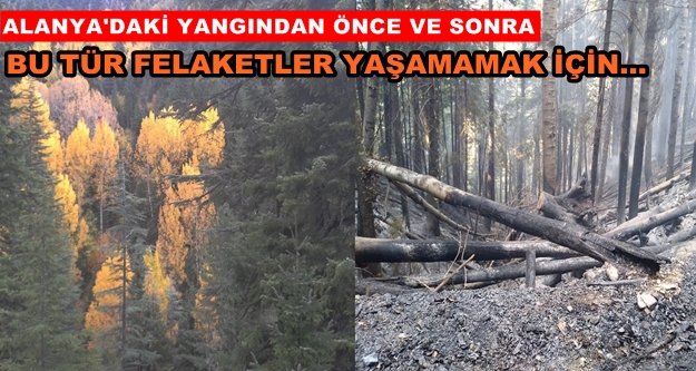 Alanya Orman İşletme Şefliği'nden kritik uyarı
