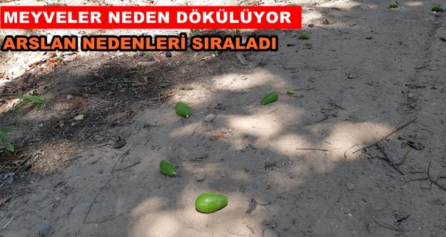Arslan'dan meyve dökümü uyarısı