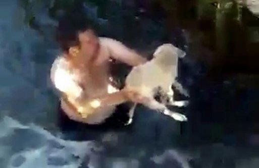 Dereye düşen yavru köpek suya giren genç tarafından kurtarıldı