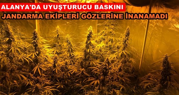 Jandarma gözlerine inanamadı: Apartman dairesinde ’uyuşturucu serası’