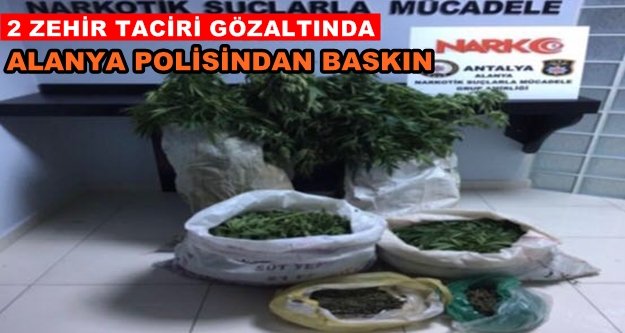 Alanya'da yaylaya uyuşturucu operasyonu
