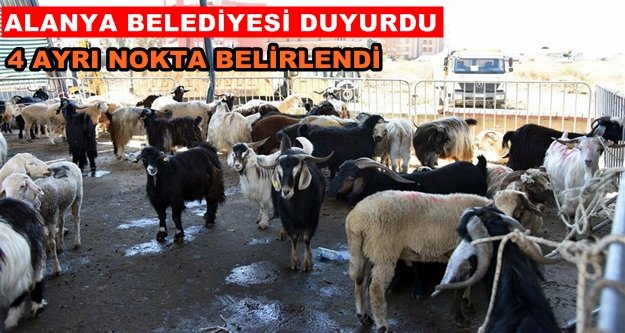 Alanya'daki kurban alanları belli oldu