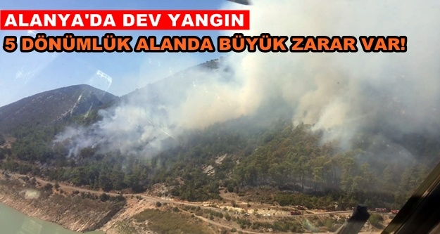 Alanya'daki orman yangını kontrol altına alındı