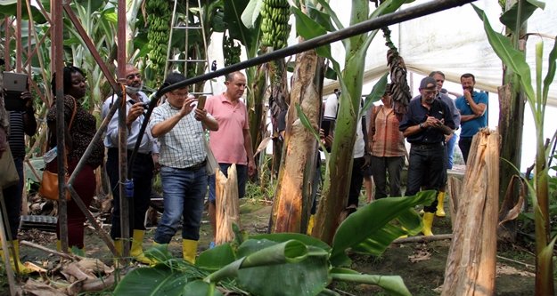 Alanya muzunun sırrı araştırılıyor