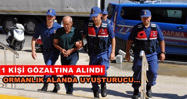 Alanya’da flaş uyuşturucu operasyonu