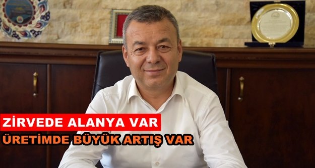 Avokado üretimi 12 kat arttı