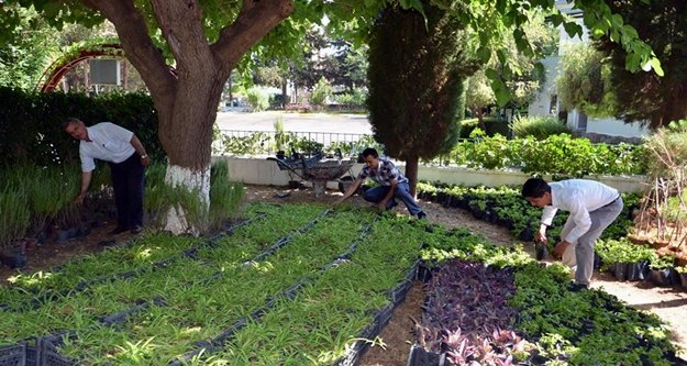 Büyükşehir'den Alanya'daki mezarlıklara yoğun bakım