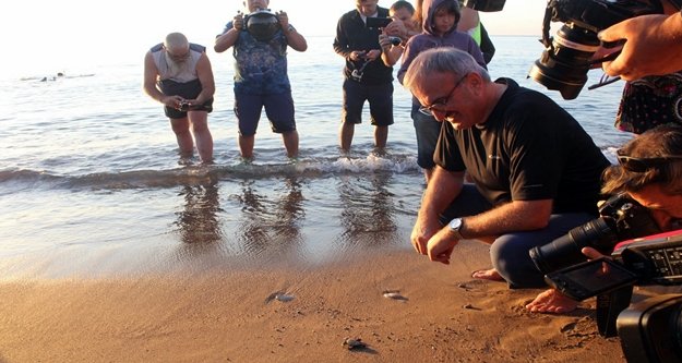 Caretta carettalar denizle buluştu