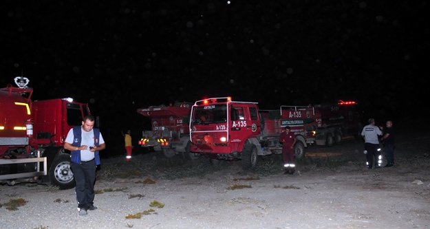 Defineciler ormanı yaktı