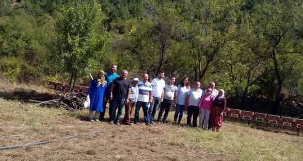 Genç kadın çiftçiye arılı arı kovanı