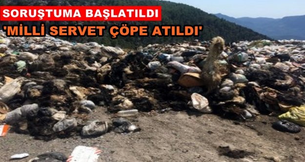 Gündoğmuş çöplüğünde korkunç görüntü